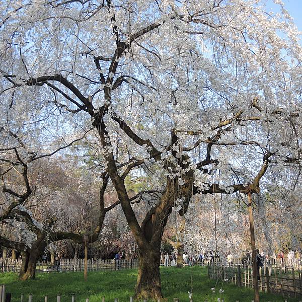 DSCN2033.JPG DSCN2033.JPG