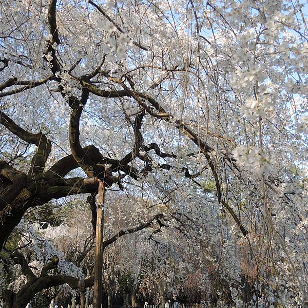 DSCN2031.JPG DSCN2031.JPG