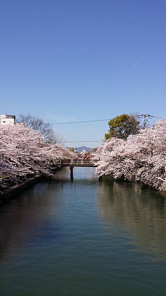 20150402_100947.jpg 20150402_100947.jpg