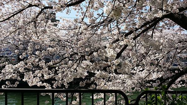 20150402_103400.jpg 20150402_103400.jpg