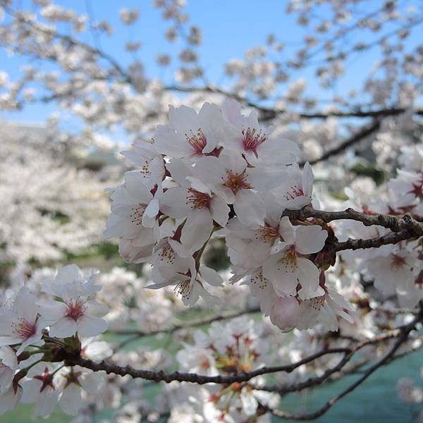 DSCN2780.JPG DSCN2780.JPG