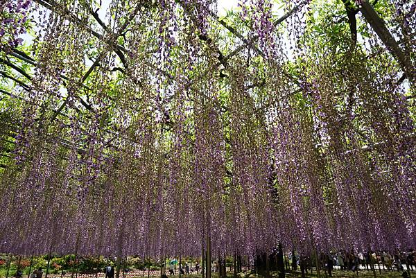 DSC05760.JPG DSC05760.JPG