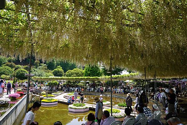 DSC05749.JPG DSC05749.JPG