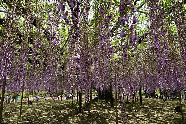 DSC05840.JPG DSC05840.JPG