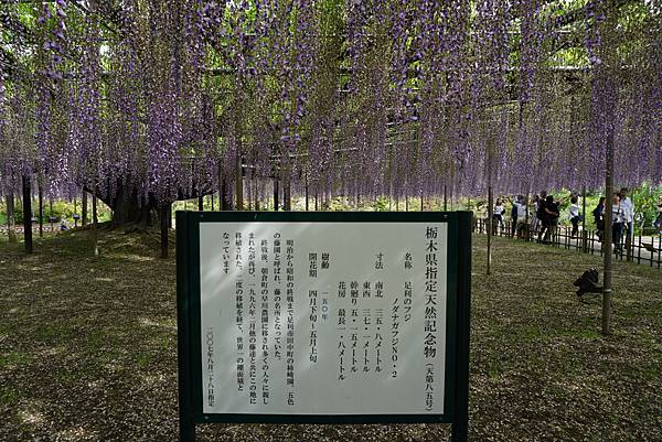 DSC06051.JPG DSC06051.JPG