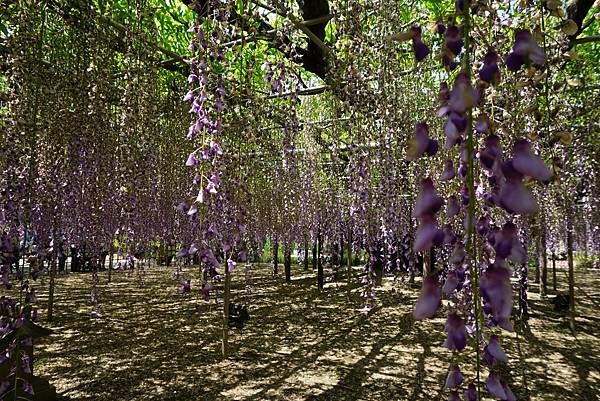 DSC05834.JPG DSC05834.JPG