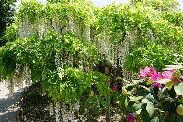 DSC05751.JPG DSC05751.JPG