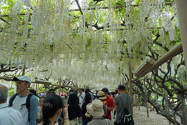 DSC05904.JPG DSC05904.JPG