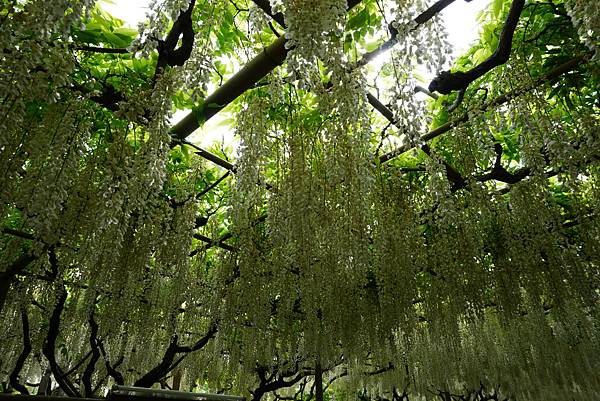 DSC05908.JPG DSC05908.JPG