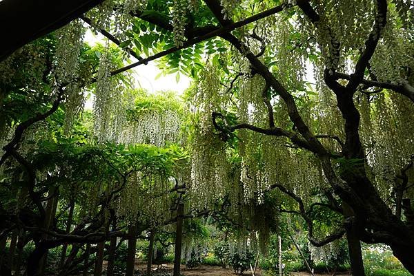 DSC05910.JPG DSC05910.JPG