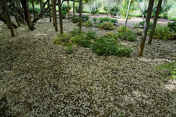 DSC05914.JPG DSC05914.JPG