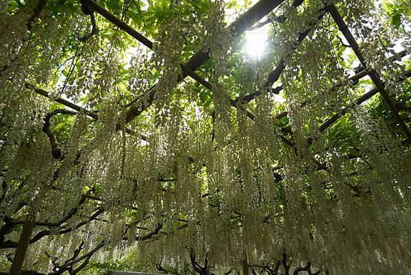 DSC05919.JPG DSC05919.JPG