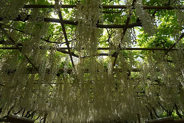 DSC05942.JPG DSC05942.JPG