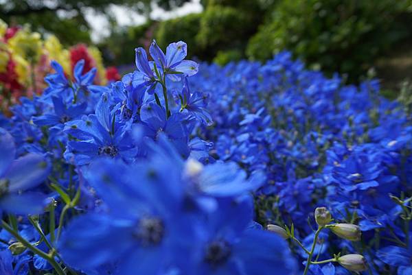 DSC05988.JPG DSC05988.JPG