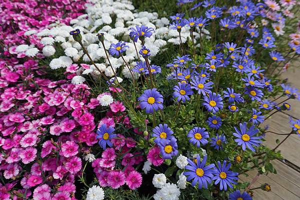 DSC05998.JPG DSC05998.JPG