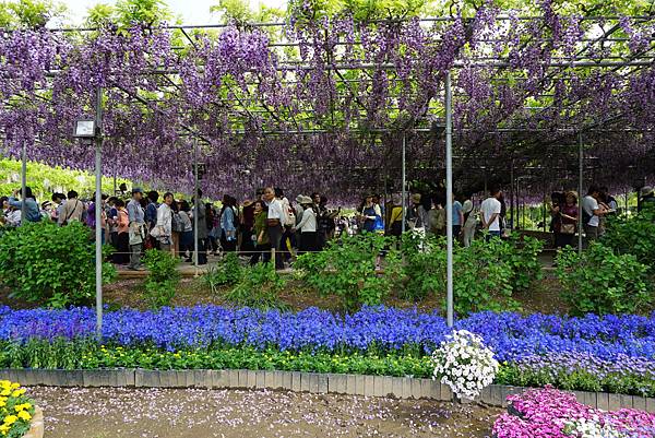 DSC06003.JPG DSC06003.JPG