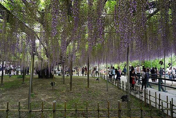 DSC06026.JPG DSC06026.JPG