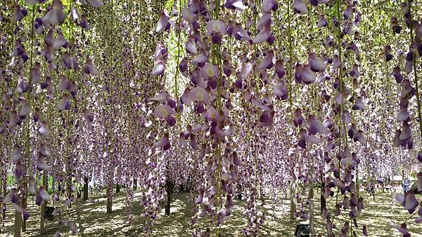 20180430_121546.jpg 20180430_121546.jpg