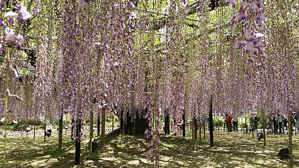 20180430_121449 (1).jpg