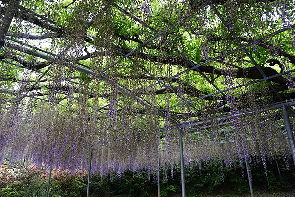 DSC06170.JPG DSC06170.JPG