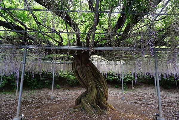 DSC06176.JPG DSC06176.JPG