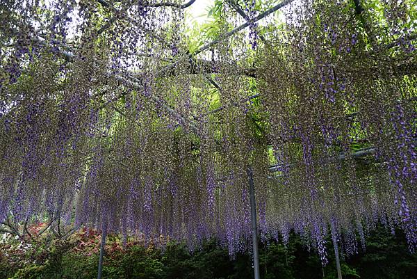 DSC06179.JPG DSC06179.JPG