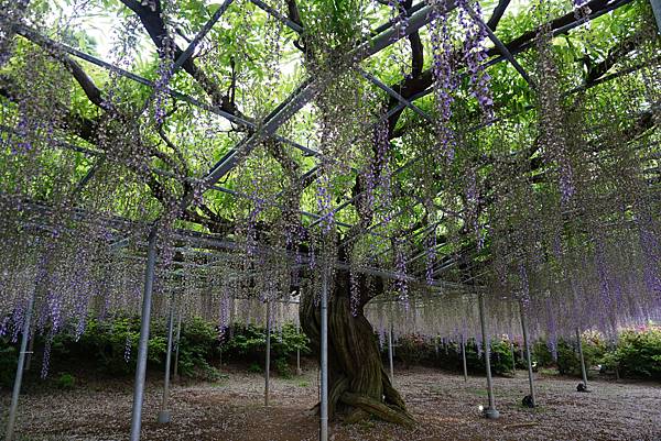 DSC06183.JPG DSC06183.JPG