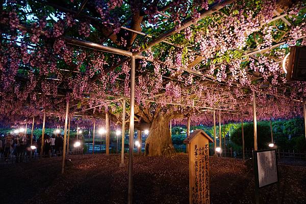 DSC06301.JPG DSC06301.JPG