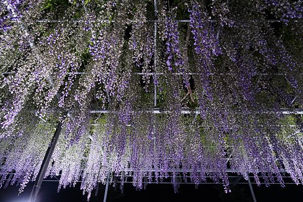 DSC06375.JPG DSC06375.JPG