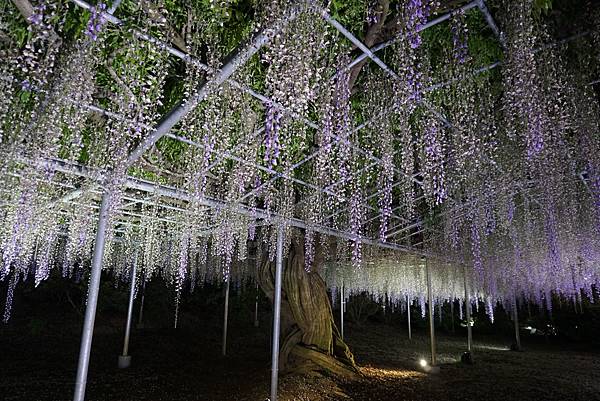 DSC06373.JPG DSC06373.JPG