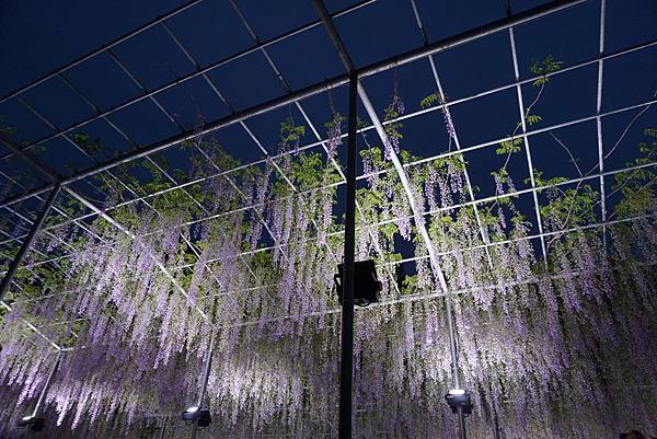 DSC06358.JPG DSC06358.JPG