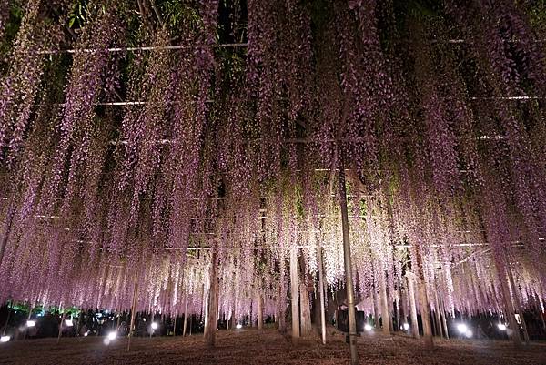 DSC06399.JPG DSC06399.JPG