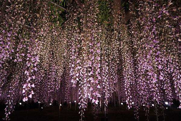 DSC06428.JPG DSC06428.JPG