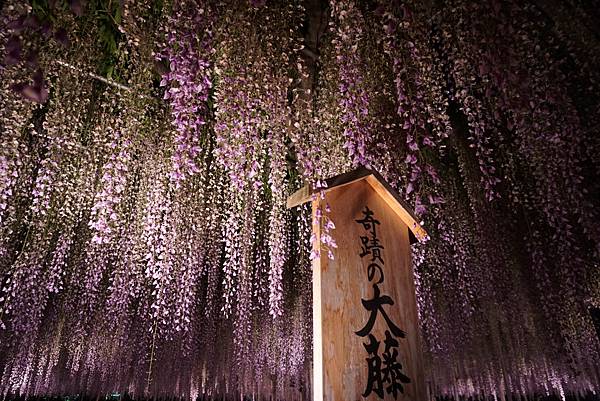 DSC06429.JPG DSC06429.JPG