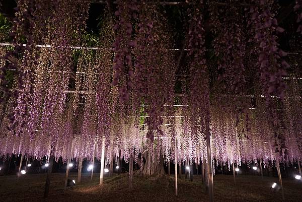 DSC06442.JPG DSC06442.JPG