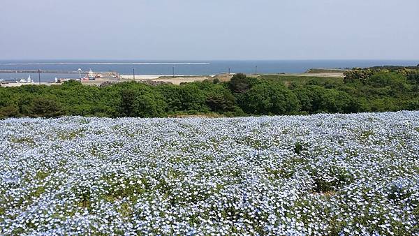 20180501_134115.jpg 20180501_134115.jpg