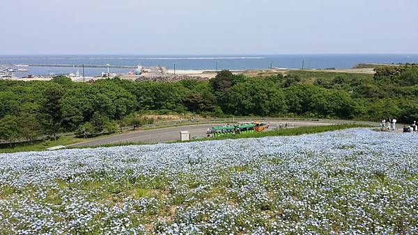 20180501_133355.jpg 20180501_133355.jpg