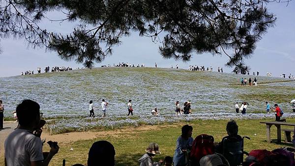 20180501_122111.jpg 20180501_122111.jpg