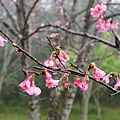 P1030667