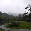 P1030674