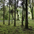 P1030678
