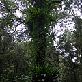P1030684