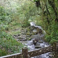 P1030702