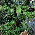 R0011533 (複製)