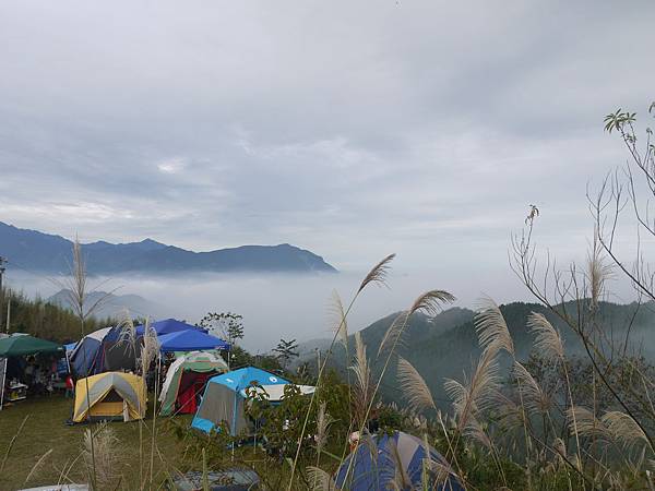 溫家茶園露營