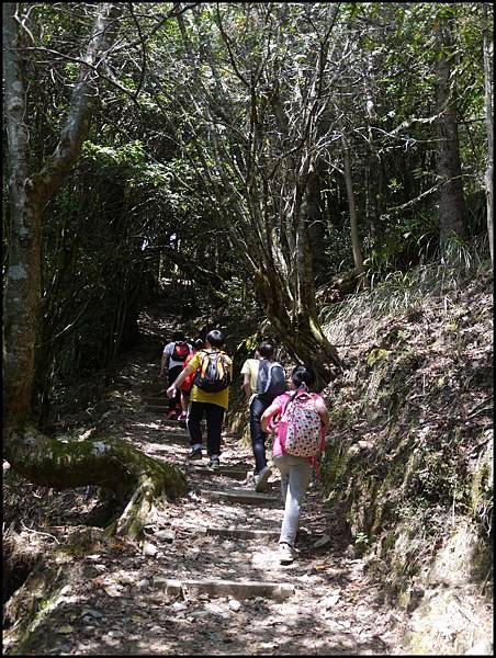 2014-4-20 武陵農場露營Day2