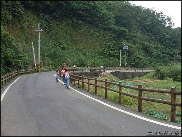 大坑桐花步道