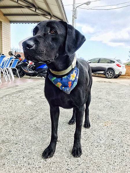 S__25141263.jpg S__25141263.jpg