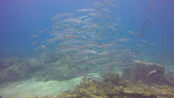 G0211003.JPG G0211003.JPG