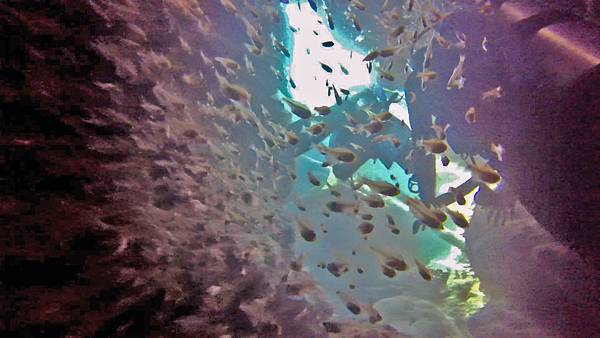 Snapshot(0).jpg Snapshot(0).jpg